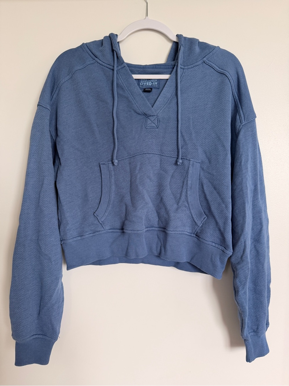 American Eagle Outfitters Dusty Blue Cropped Hooded Pullover